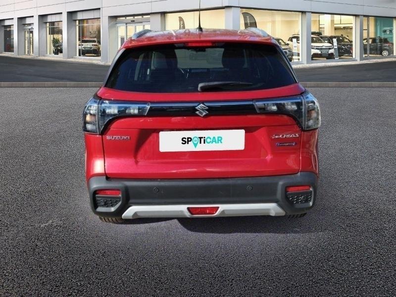 suzuki - Visuel 4