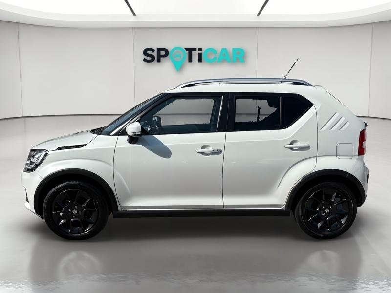 suzuki - Visuel 1