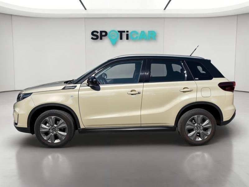 suzuki - Visuel 12