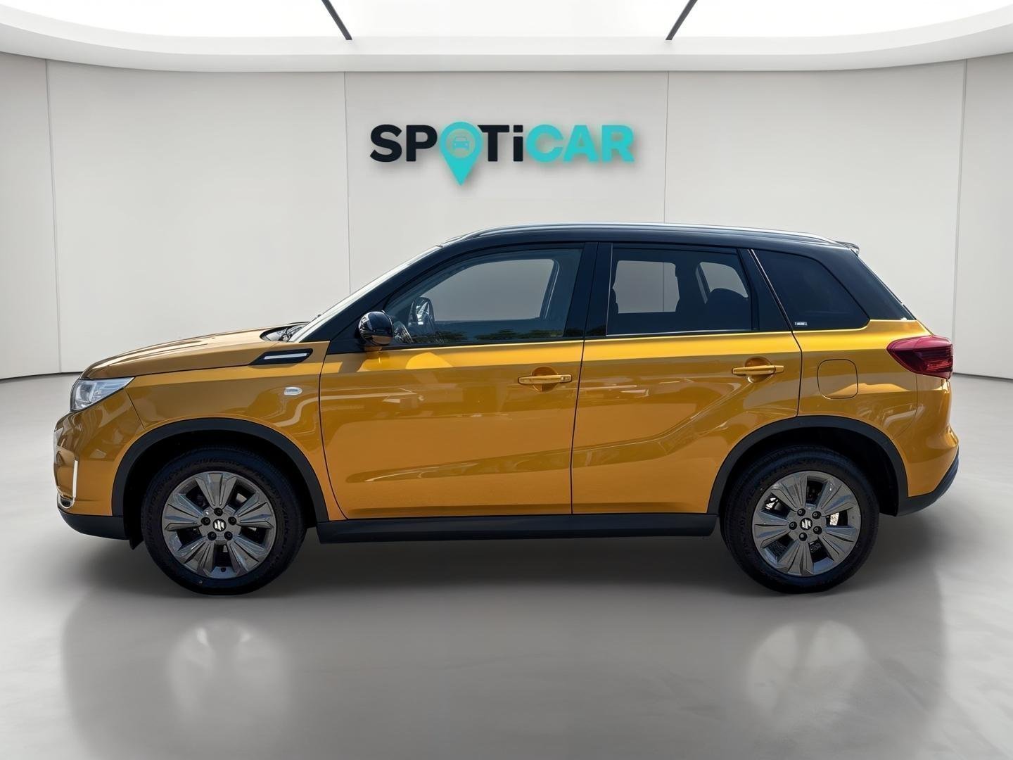 suzuki - Visuel 1