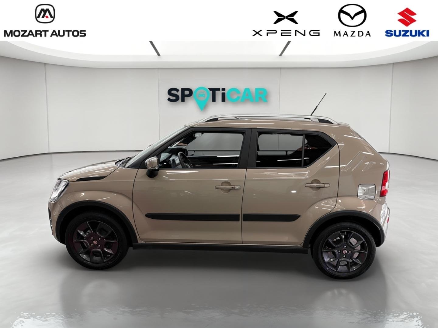 suzuki - Visuel 12