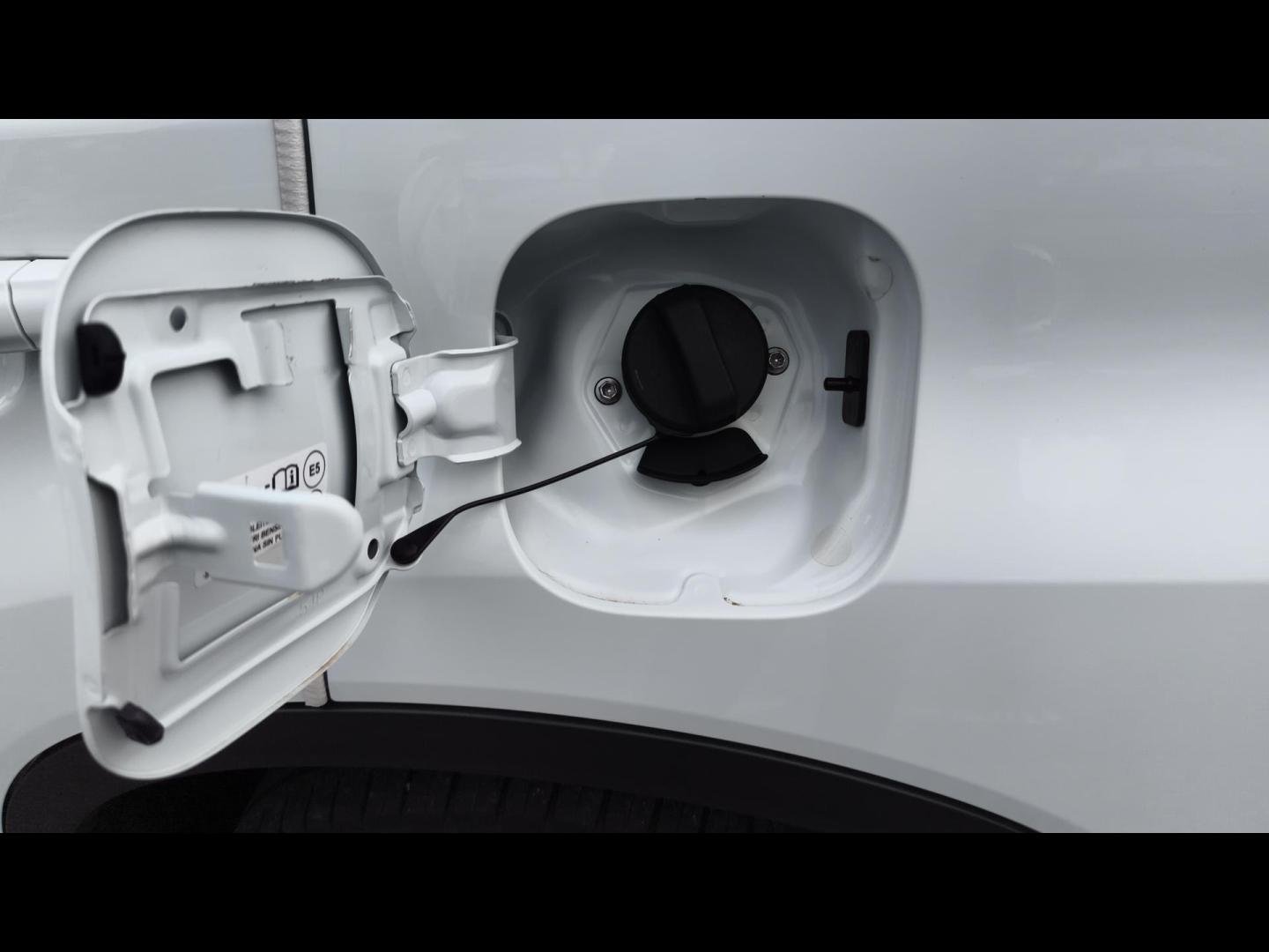 suzuki - Visuel 18