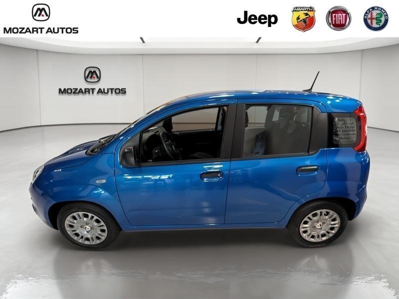 fiat - Visuel 4